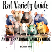 RAT VARIETY GUIDE